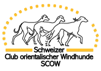 Schweizer Club orientalischer Windhunde SCOW